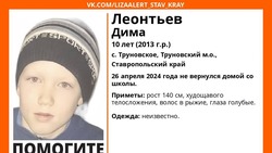 Рыжеволосого десятилетнего мальчика ищут на Ставрополье